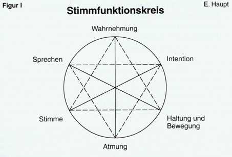 Stimmfunktionskreis